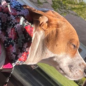 Meet your Posher, Jacqueline